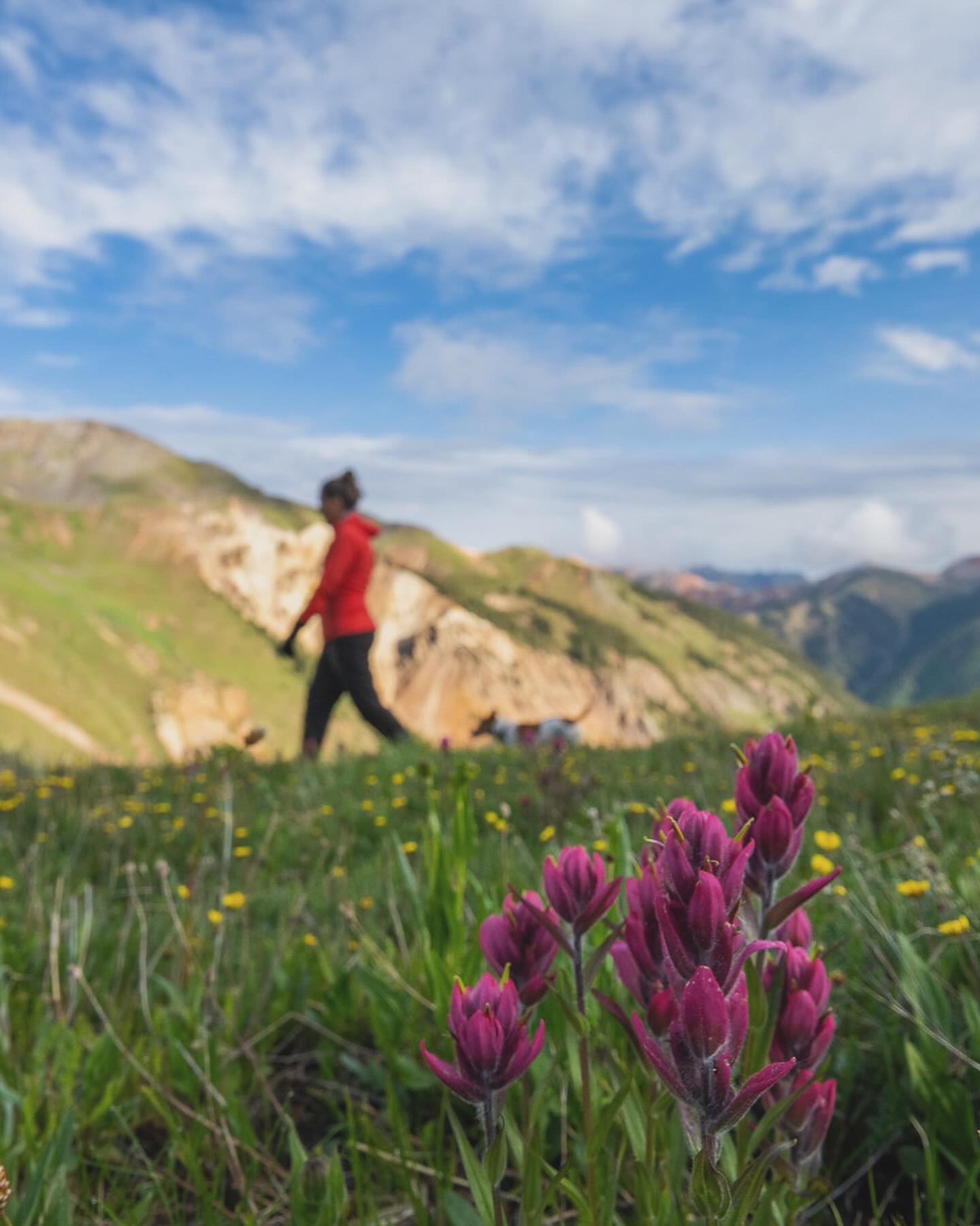 Things To Do callout